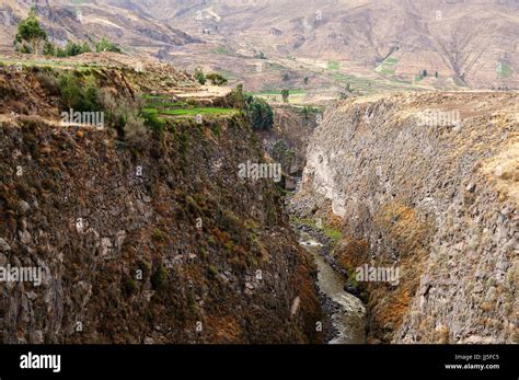 South America Peru Colca Canyon The Secend Wolds Deepest Canyon At
