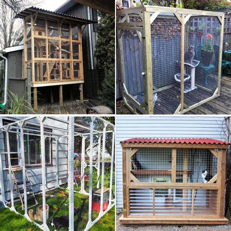 How To Build A Outdoor Cat Enclosure Builders Villa