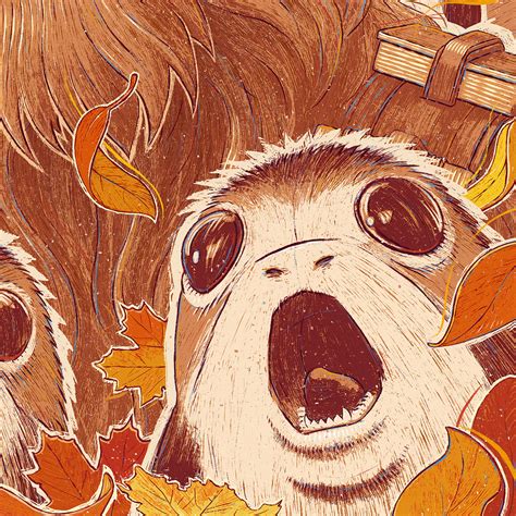 Chewie And Porgs Behance