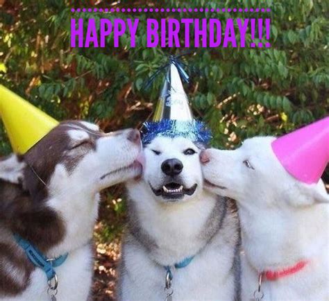 Happy Birthday Smooches Cute Animals Cute Dogs Dog Ages
