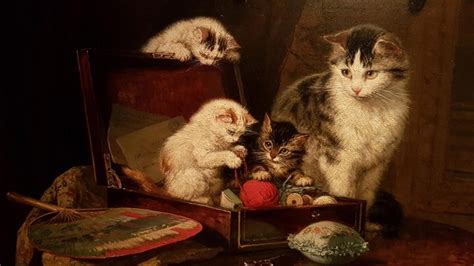 best 5 things to do in kattenkabinet museum amsterdam