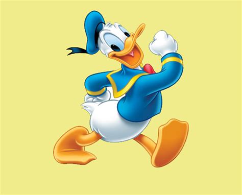 Please contact us if you want to publish a donald duck wallpaper on our site. Donald Duck Cartoon Wallpaper