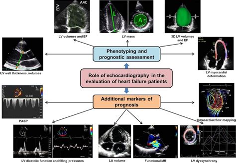 Advances In Echocardiographic Imaging In Heart Failure With Reduced And Preserved Ejection