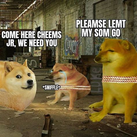 1080 X 1080 Doge You Can Also Upload And Share Your