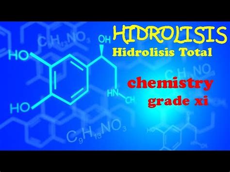 Hidrolisis Garam Hidrolisis Total Kimia Kelas 11 YouTube