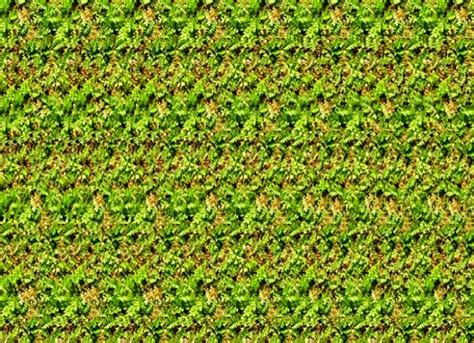 Stereograms Wallpaper Magic Eye Pictures Eye Illusions Magic Eyes