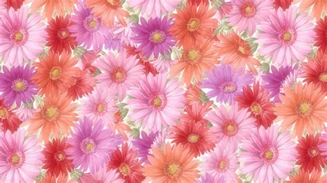 Flower Wallpapers Hd Pixelstalknet