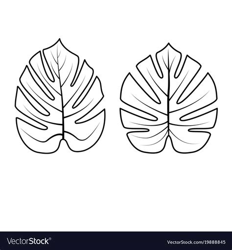 Tropical coloring pages are a fun way for kids of all ages to develop creativity, focus, motor skills and color recognition. tropical leaves clipart for coloring 10 free Cliparts ...