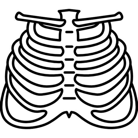 Human rib cage illustration, rib cage heart human skeleton anatomy, skeleton hand, human body. Human ribs | Free Icon
