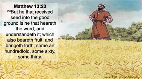 Parable Of The Soils How Is Your Heart Matthew 13 From The Heart
