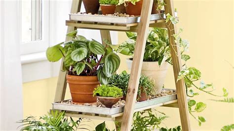 9 Tools That Make Indoor Gardening Ridiculously Easy Sheknows