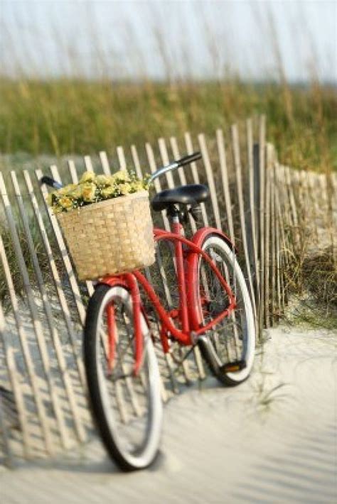 We did not find results for: Red vintage bicycle with basket and flowers leaning ...