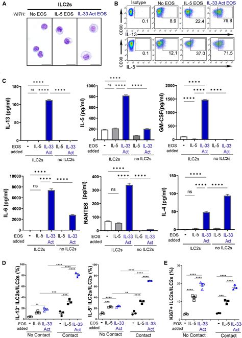 Eosinophils Promote Effector Functions Of Lung Group 2 Innate Lymphoid