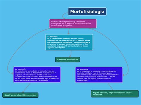 Morfofisiologia Mind Map
