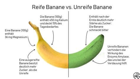 Banane Kalorien Nährwerte And Kohlenhydrate Plantura