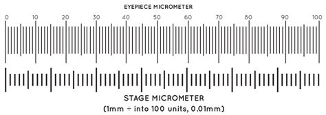 Ma292 001mm Metal Stage Micrometer