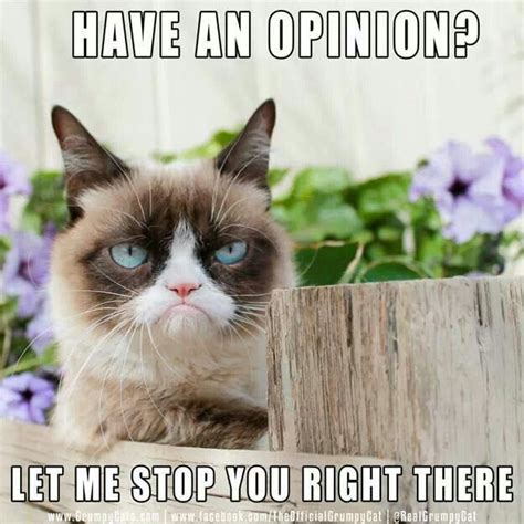 Stop Grumpy Cat Grumpy Cat Meme Funny Grumpy Cat Memes
