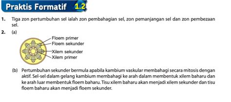 Jawapan Buku Teks Biologi Tingkatan 5
