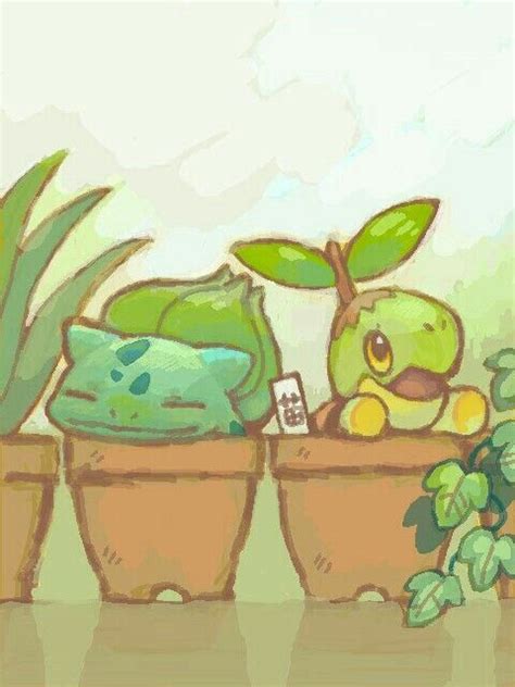 Bulbasaur Turtwig Funny Pots Plants Text Cute Sleeping Pokémon