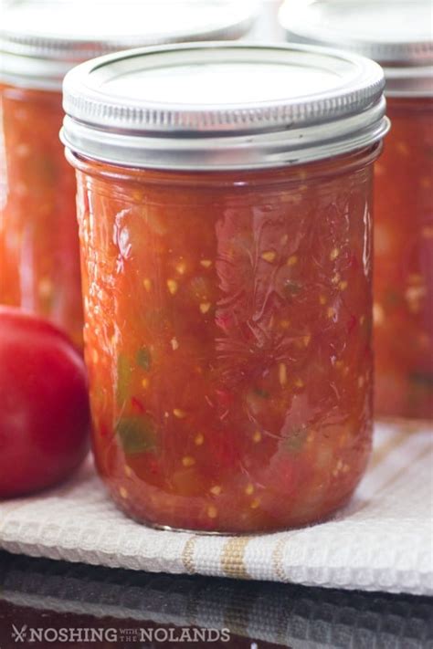 homemade canned tomato salsa     fresh summer produce canned salsa recipes
