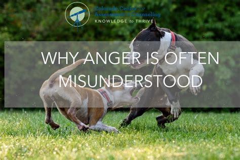 Why Anger Is Often Misunderstood Colorado Center For Assessment