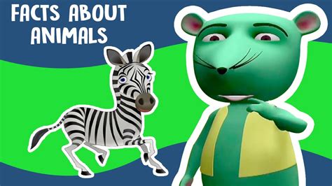 It can be quite a daunting task to teach your kids about animals. Interesting Facts About Animals for Kids Video Compilation ...