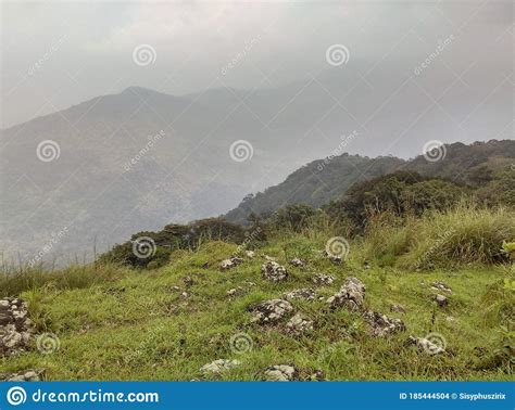 Mountain Slope And Green Meadows In Kerala Stock Photo Image Of