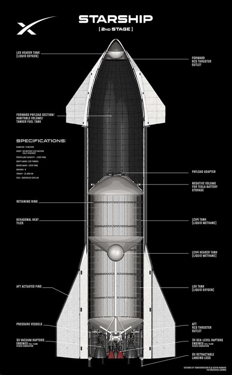 Cutaway Schematic Of Spacex Starship Interior By Tom Dixon Human Mars