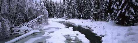 Ice River Forest Snow Trees Wallpapers Hd Desktop And Mobile