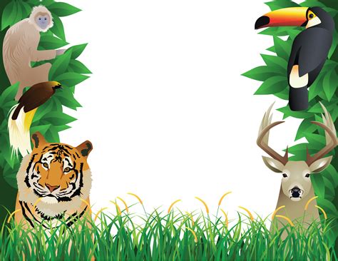 Jungle Frame Png Clip Art Library