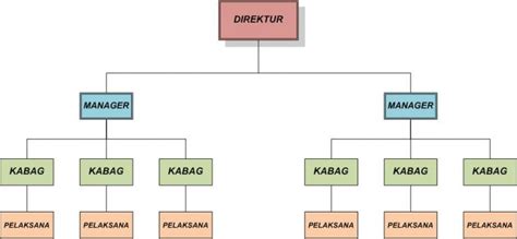 Penjelasan Tentang Struktur Organisasi Perusahaan IMAGESEE