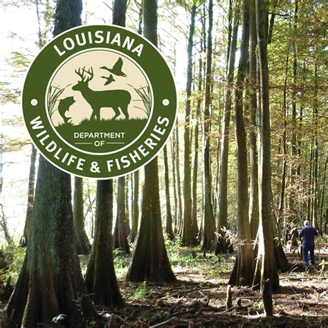 Louisiana Department Of Wildlife And Fisheries Named Nda Agency Of The Year