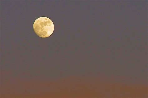 Evening Moon Free Stock Photo Public Domain Pictures