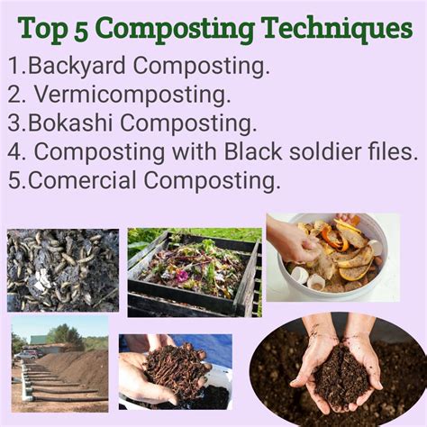 Top Sustainable Composting Methods For Improving Soil Fertility And