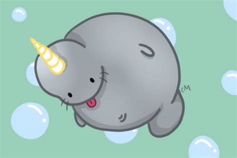 Set cute adorable narwhal, baby animals with horn smiling in cartoon style isolated on white background. View topic - Chubby Narwhal Manatee - Chicken Smoothie