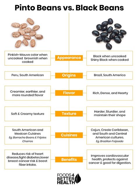 Black Beans Vs Pinto Beans What Is The Difference Between These Beans