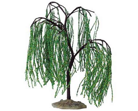 Miniature Weeping Willow Tree 6 Weeping Willow Weeping Willow