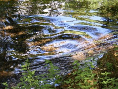 What i enjoy is when a romance between two. Pin van Stan davelaar op weerspiegeling in water | Water ...