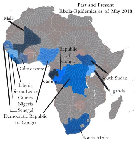 Ebola is a deadly virus that kills almost 90% of those who contract this illness. History of Ebola Virus Outbreaks in Africa