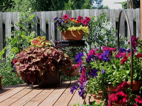 Making A Patio Flower Container Garden Tips How To Build