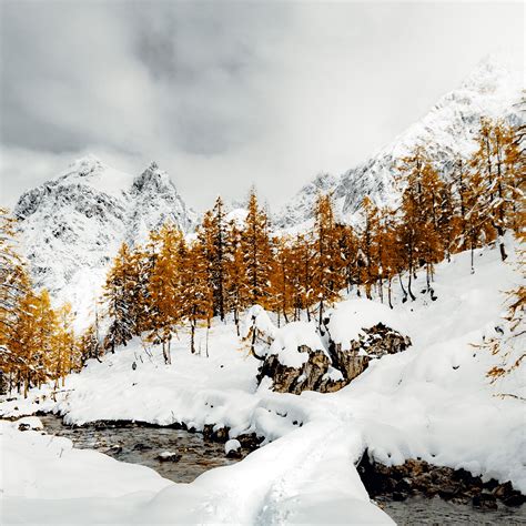 Download Wallpaper 3415x3415 Mountains Trees River Snow Winter