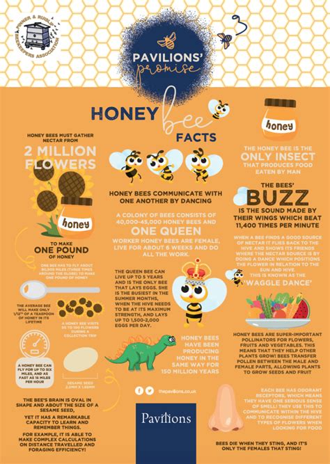 Honey Bee Facts The Pavilions