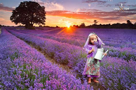 Maybe you would like to learn more about one of these? ULTRATDK