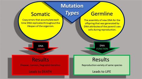 Mutation Means Two Wildly Different Things Function And Error