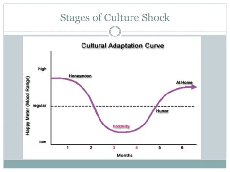 Ppt Culture Shock Powerpoint Presentation Free Download Id3116934