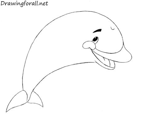 How To Draw A Dolphin For Kids