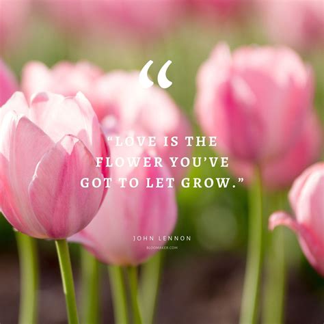55 Inspirational Flower Quotes Beautiful Motivational Sayings With