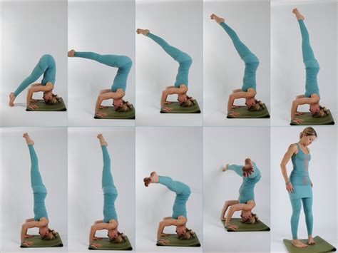 High plank, with your arms straight (wrists below elbows, elbows below shoulders), your shoulders protracted (imagine bolden adds that in addition to planks, dolphin pose is a great prep pose for any inversion. Tripod headstand | Yoga poses, Basic yoga, Headstand yoga