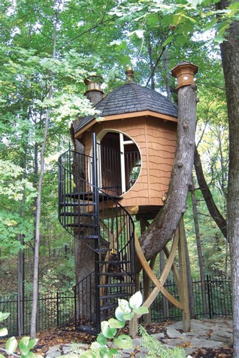 Beautiful Tree House Home Hot Sex Picture