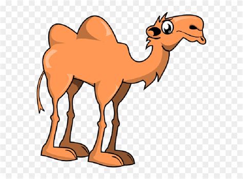 Cute Camel Clipart Funny Pictures Camel Clipart Free Transparent